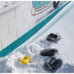安省商店大雪极寒天遭破窗爆窃 55双洞洞鞋被偷